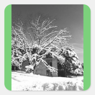 Sticker Carré Blessure d'hiver B+W