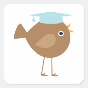 Sticker Carré Bleu Bird Graduation