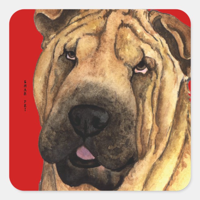 Sticker Carré Bloc de couleur Shar-Pei (Devant)