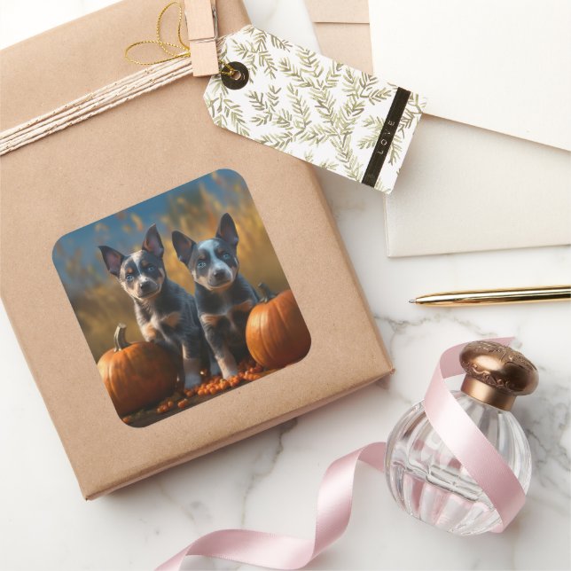 Sticker Carré Blue Heeler Chiot Automne Citrouille de plaisir (Cadeaux)