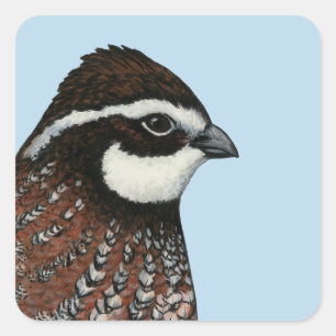 Sticker Carré Bobwhite Quail Head