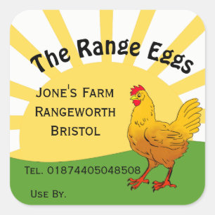 Sticker Carré boîte d'œufs de poules élevées en plein air magasi