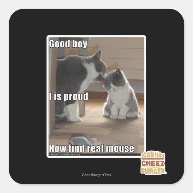 Sticker Carré Bon garçon (Devant)