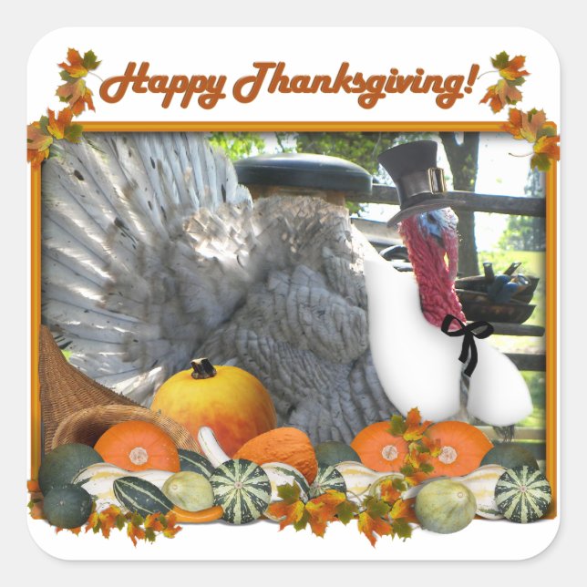 Sticker Carré Bon thanksgiving de Tom le pèlerin Turquie (Devant)