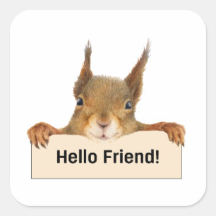Sticker Carré Bonjour ami Funny Squirrel