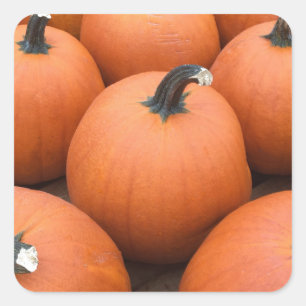 Sticker Carré Bonne Carving