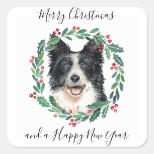 Sticker Carré Bordure Collie Elegant Chien Joyeux Noël