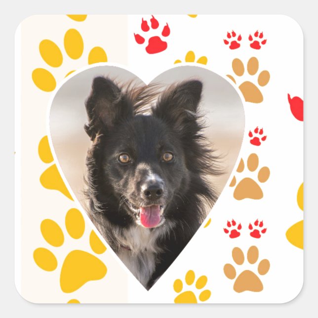 Sticker Carré Bordure Collie Empreinte de patte Amour Coeur (Devant)