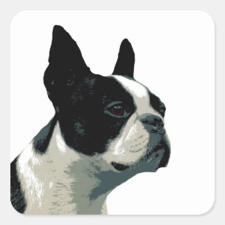 Sticker Carré Boston Terrier