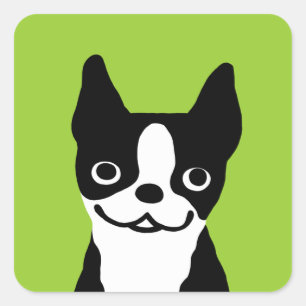 Sticker Carré Boston Terrier - Chien mignon