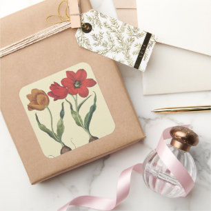 Sticker Carré Botanique Vintage, Fleurs de Tulipes et Bulbes en 