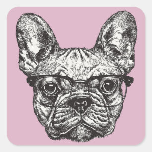 Sticker Carré Bouledogue de hippie