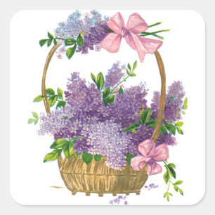 Sticker Carré Bouquet antique de fleur de lilas pourpres
