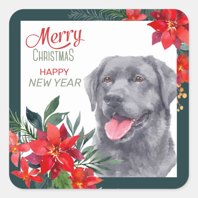 Sticker Carré Bouquet de Poinsettia Retriever du Labrador noir (Devant)