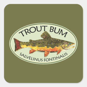 Sticker Carré BOURSE À TROUILLE - Truite Brookie Pêche à la mouc