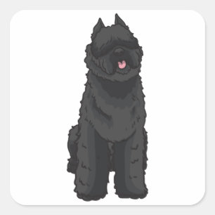 Sticker Carré Bouvier des Flandres