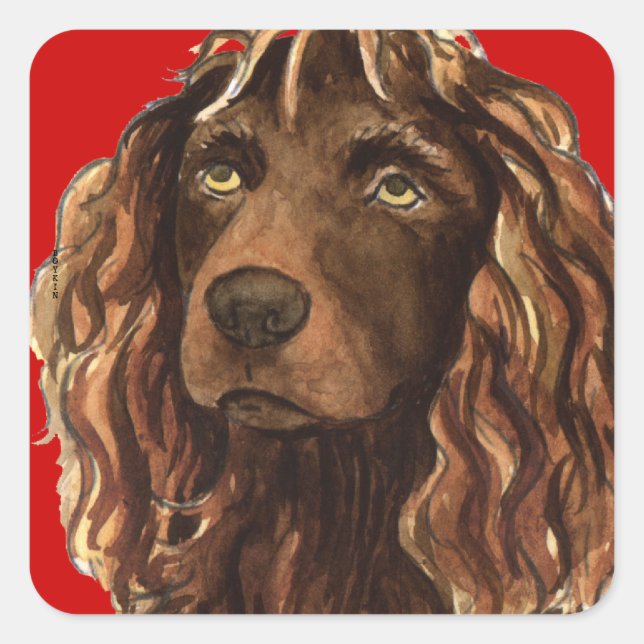 Sticker Carré Boykin Spaniel Color Block (Devant)