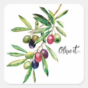 Sticker Carré Branche d'olive aquarelle