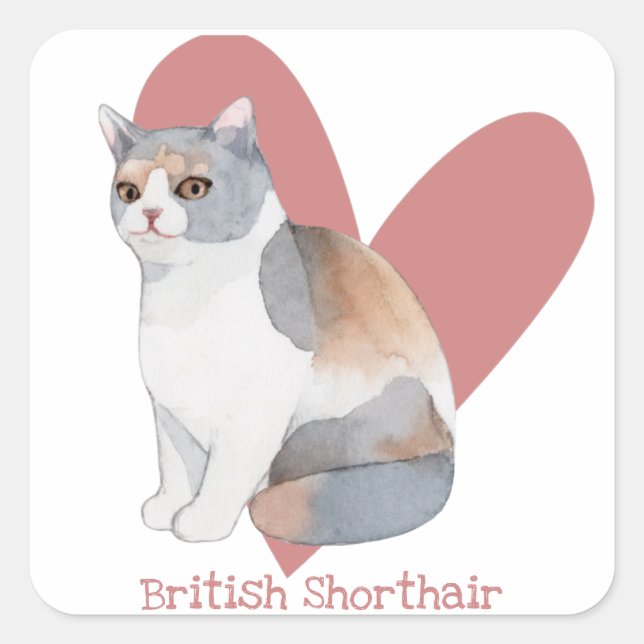 Sticker Carré British Shorthair Chat Aquarelle Kitty Coeur rose (Devant)