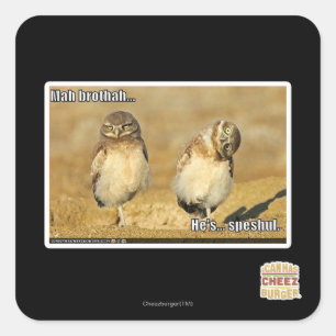 Sticker Carré Brothah d'heure-milliampère