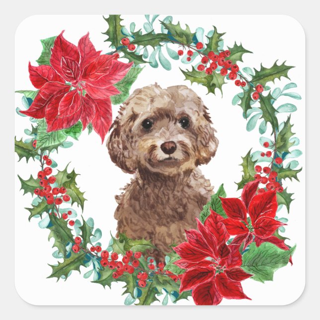 Sticker Carré Brown Cockapoo Chien Poinsettia Fer (Devant)