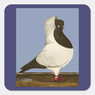 Sticker Carré Brown Nun Pigeon