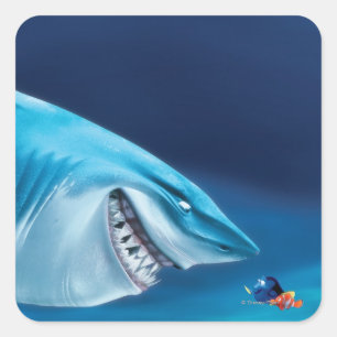 Sticker Carré Bruce, Nemo et Dory 1