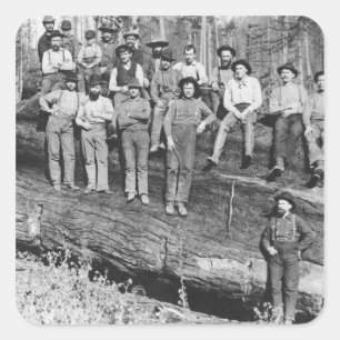 Sticker Carré Bûcherons en Californie, 1891