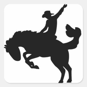 Sticker Carré Bucking