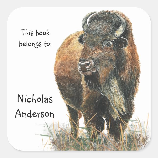 Sticker Carré Buffalo Bison Animal Nature art Custom Boite (Devant)