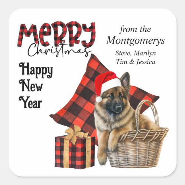 Sticker Carré Buffalo Plaid Belge Tervuren Puppy Noël (Devant)