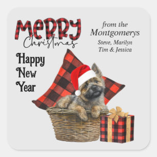 Sticker Carré Buffalo Plaid Cairn Terrier Chien Noël