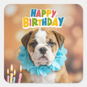 Sticker Carré Bulldog de la fête d'anniversaire