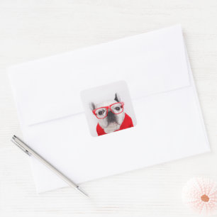 Sticker Carré Bulldog français avec lunettes et chemise