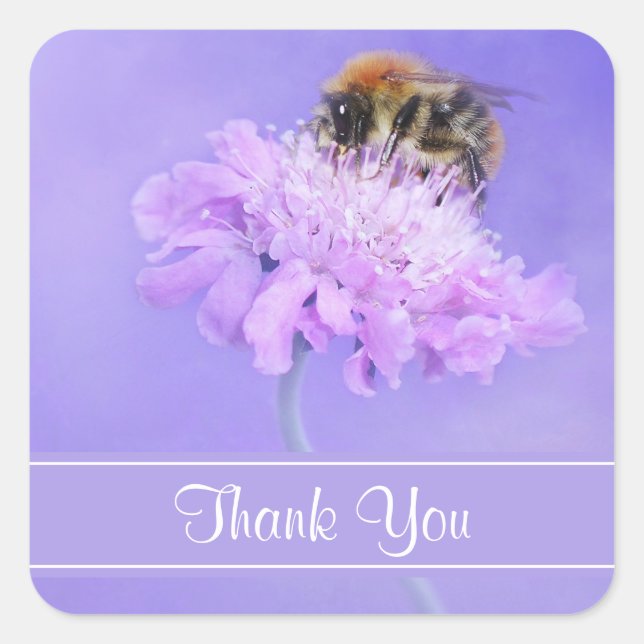 Sticker Carré Bumble Bee perché sur un Merci rose (Devant)