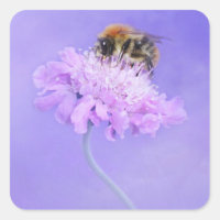 Bumble Bee perché sur une fleur rose