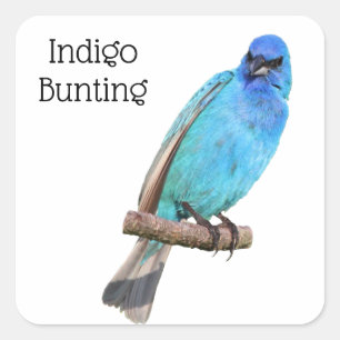 Sticker Carré Bunting Indigo