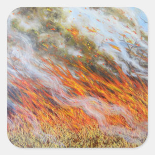 Sticker Carré Bushfire Inferno 2014