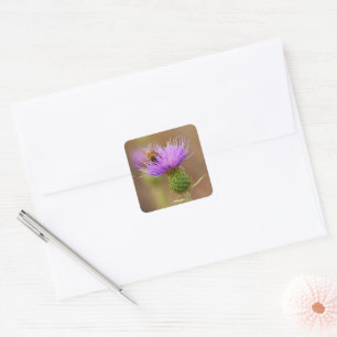 Sticker Carré Busy Bee sur Purple Thistle Photo