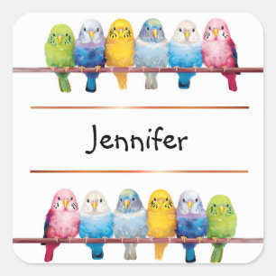Sticker Carré Bute Bright Budgerigar Budgie Birds dans un nom de
