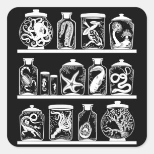 Sticker Carré Cabinet de curiosité d'OPUS