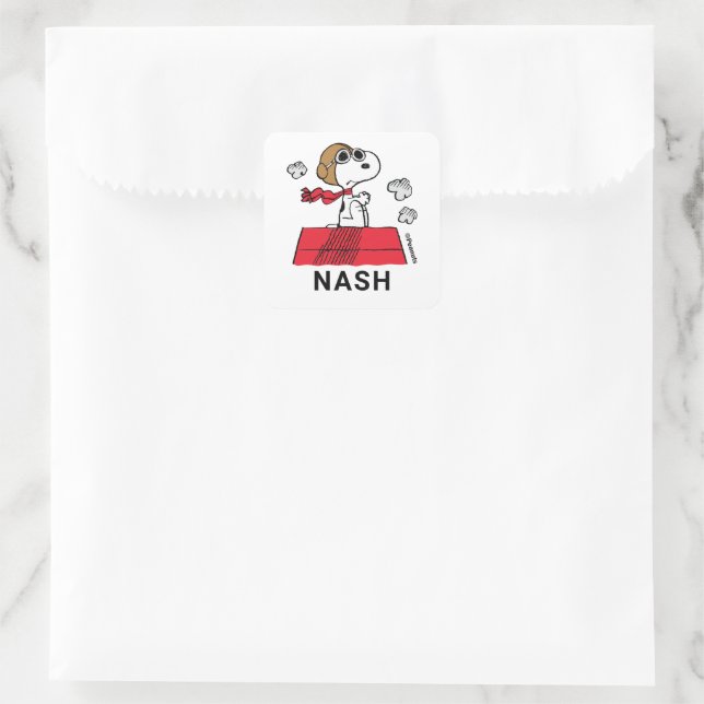 Sticker Carré cacahuètes | Snoopy the Flying Ace (Sac)