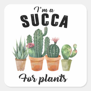 Sticker Carré Cactus cactus succulents plante