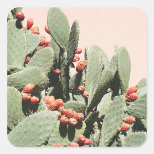 Sticker Carré Cactus de poire de Prickley