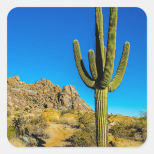 Sticker Carré Cactus debout