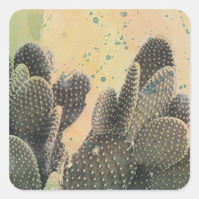 Sticker Carré Cactus du désert | Plat vert (Devant)