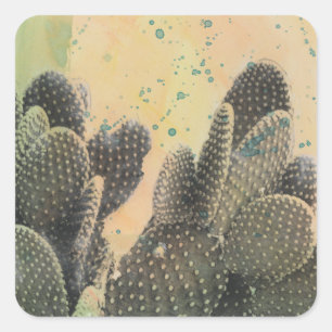 Sticker Carré Cactus du désert   Plat vert