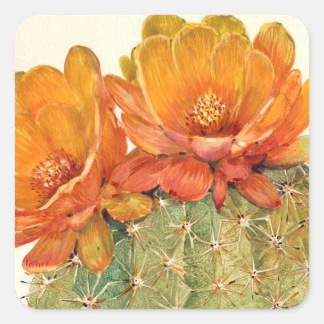 Sticker Carré Cactus Orange Blossoms (Devant)