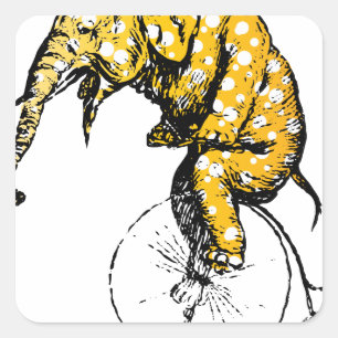 Sticker Carré Cadeaux Circus Elephant