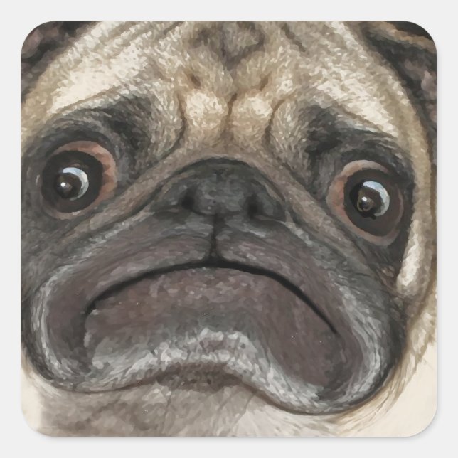 Sticker Carré Cadeaux Grumpy Puggy (Devant)
